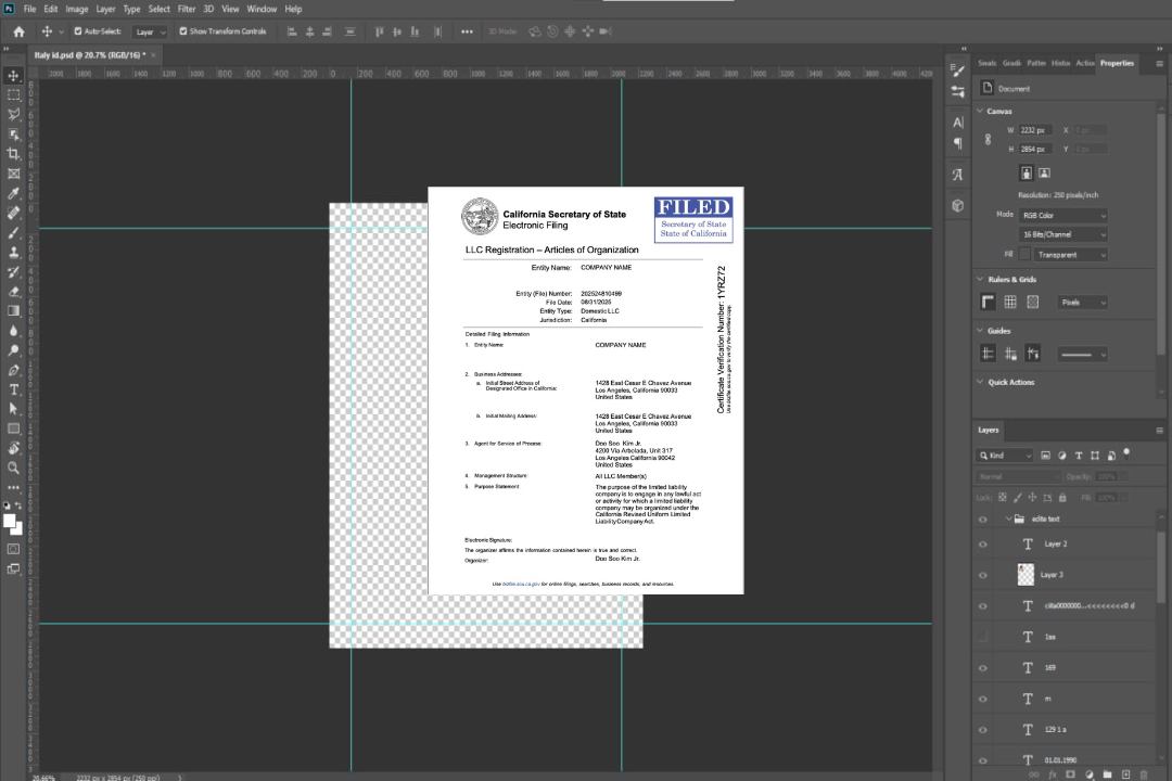 Modèle Word et PDF d'enregistrement USA California LLC template